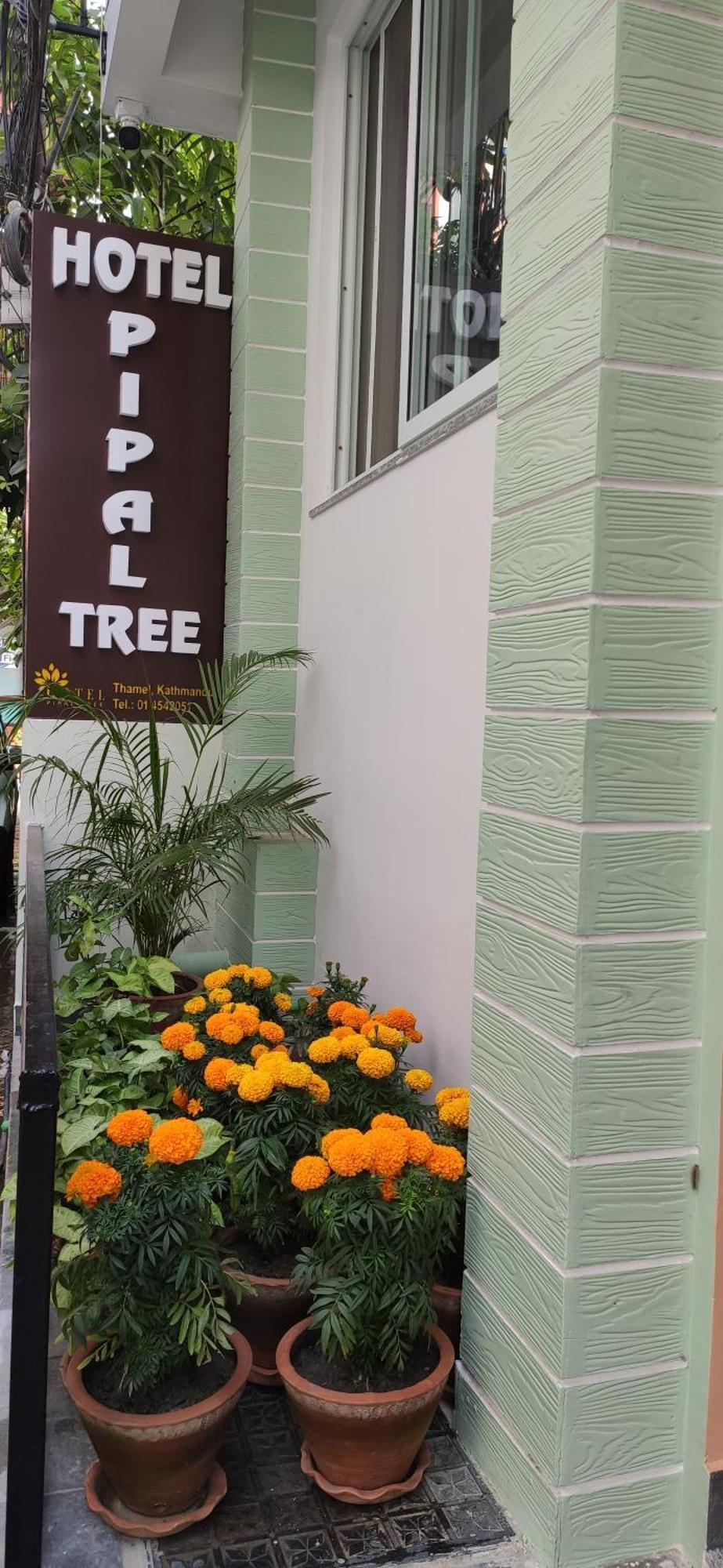 Hotel Pipal Tree Катманду Екстер'єр фото
